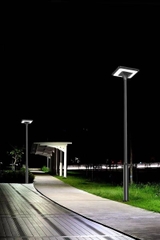 Đèn năng lượng mặt trời chiếu sáng trang trí công viên 80w Resort mã ZCVNL-2021