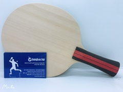 DONIC Ovtcharov Carbon speed