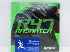 Rasanter R47