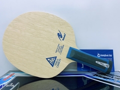 Nittaku Tribus Carbon