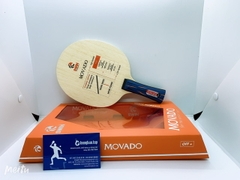 Cốt Swin Movado