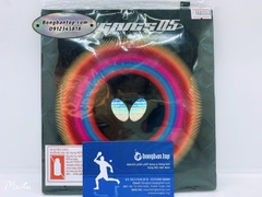 Butterfly Dignics 05