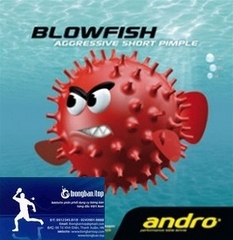 Andro BlowFish