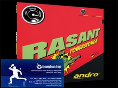 Andro Rasant Power Sponge