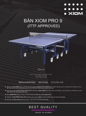 Bàn bóng bàn Xiom Pro 9