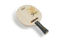 Cốt vợt Ameno V19