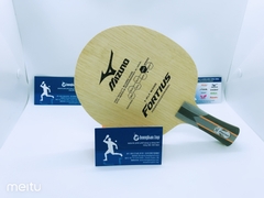 Mizuno Fortius