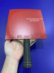 Xiom Vega Asia