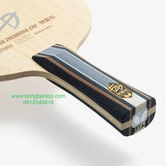 BUTTERFLY FAN ZHENDONG CNF