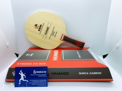 Cốt Swin Hammer