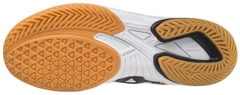 Giày MIZUNO WAVE DRIVE 0