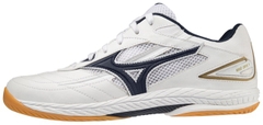 Giày MIZUNO WAVE DRIVE 9