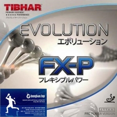 Tibhar Evolution FX-P