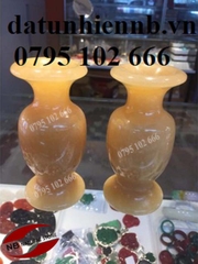lục bình đá - 14