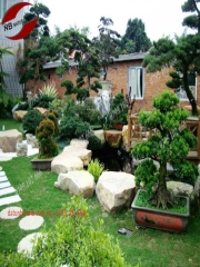 Tiểu cảnh sân vườn - 15
