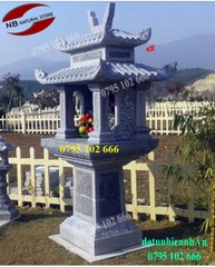 Cây hương đá - 20