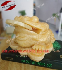 Thiềm Thừ Đá - 03