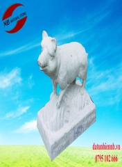 Con giống đá- 04