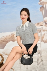 AP321 - Áo polo cổ đức