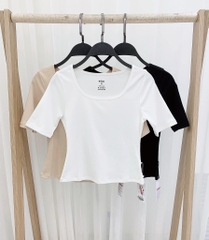 AGN99W34 - Áo Cotton borip dáng ôm, cổ U tay cộc.