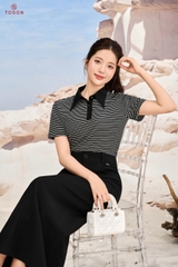 AP321 - Áo polo cổ đức