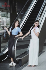 AP433 - Áo polo suông cổ sen phối - cotton
