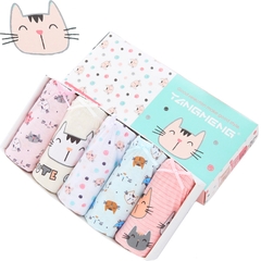 Set 5 quần chip cho bé gái, Hộp 5 quần lót kháng khuẩn cho bé gái 1-12 tuổi chất cotton thoáng khí xuất Hàn cao cấp BBShine – C024