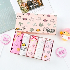 Set 5 quần chip cho bé gái, Hộp 5 quần lót kháng khuẩn cho bé gái 1-12 tuổi chất cotton thoáng khí xuất Hàn cao cấp BBShine – C024