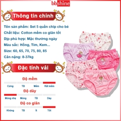 Set 5 quần chip cho bé gái, Hộp 5 quần lót kháng khuẩn cho bé gái 1-12 tuổi chất cotton thoáng khí xuất Hàn cao cấp BBShine – C024