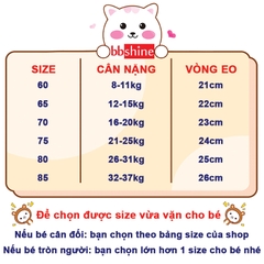 Set 5 quần chip cho bé gái, Hộp 5 quần lót kháng khuẩn cho bé gái 1-12 tuổi chất cotton thoáng khí xuất Hàn cao cấp BBShine – C024