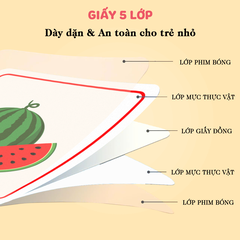 Bộ flashcard cho bé - PDC076
