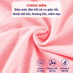 Set 5 quần chip cho bé gái, Hộp 5 quần lót kháng khuẩn cho bé gái 1-12 tuổi chất cotton thoáng khí xuất Hàn cao cấp BBShine – C024