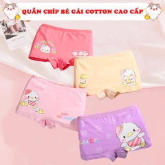 Quần chip đùi cotton cao cấp cho bé gái 2-12 tuổi hình hươu cao cổ đủ màu sắc tươi vui BBShine – C017