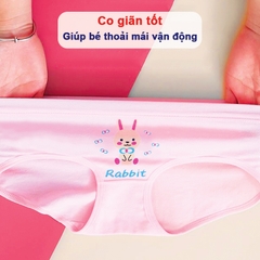 Quần lót cotton cho bé gái 2-10 tuổi chất cotton mềm thoáng khí co giãn tốt họa tiết đủ màu sắc đáng yêu BBShine – C018