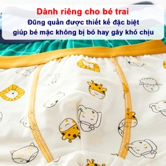 Quần lót bé trai chất cotton thoáng mát cao cấp BBShine, Set 4 quần chip bé trai nhiều họa tiết xinh xắn – C029