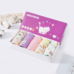 Set 5 quần chip cho bé gái, Hộp 5 quần lót kháng khuẩn cho bé gái 1-12 tuổi chất cotton thoáng khí xuất Hàn cao cấp BBShine – C024