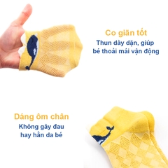 Tất cho bé gái 0-3 tuổi thoáng khí BBShine, Set 5 tất lưới cho bé hình thú cho bé ngộ nghĩnh nhiều màu sắc xinh xắn – T022