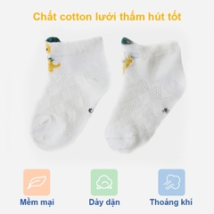 Tất cho bé gái 0-3 tuổi thoáng khí BBShine, Set 5 tất lưới cho bé hình thú cho bé ngộ nghĩnh nhiều màu sắc xinh xắn – T022