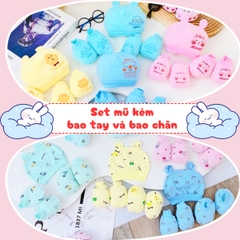 Mũ sơ sinh kèm bao tay bao chân chất cotton cao cấp BBShine, Set bao tay chân mũ sơ sinh 5 chi tiết nhiều họa tiết xinh xắn – SS037