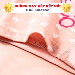 Combo 10 quần chip bé gái nhiều họa tiết đáng yêu BBShine, Quần chip cotton cao cấp nhiều màu sắc xinh xắn – C030