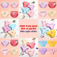 Combo 10 quần chip bé gái nhiều họa tiết đáng yêu BBShine, Quần chip cotton cao cấp nhiều màu sắc xinh xắn – C030