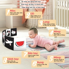 Tranh Cho Bé Sơ Sinh Panzee 0-12 Tháng Kích Thích Thị Giác Giúp Bé Phát Triển Não Bộ BBShine – PDC075