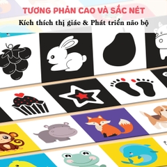 Tranh Cho Bé Sơ Sinh Panzee 0-12 Tháng Kích Thích Thị Giác Giúp Bé Phát Triển Não Bộ BBShine – PDC075