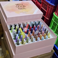 BỘ SƠN GEL 60 MÀU