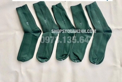 Vớ Tất Xanh Lá