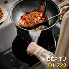 Bếp đôi điện từ Kocher DI-222 sản xuất Malaysia