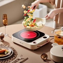 Bếp hồng ngoại 2 vòng nhiệt Bear DTL-D22A1