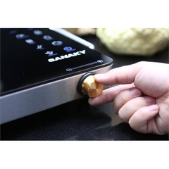 Bếp hồng ngoại cảm ứng Sanaky SNK-2524HGN