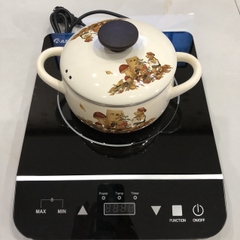 Bếp từ đơn cảm ứng Rapido RI2000ES