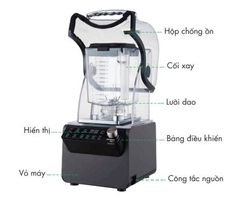 Máy xay sinh tố đa năng Promix PM-9003